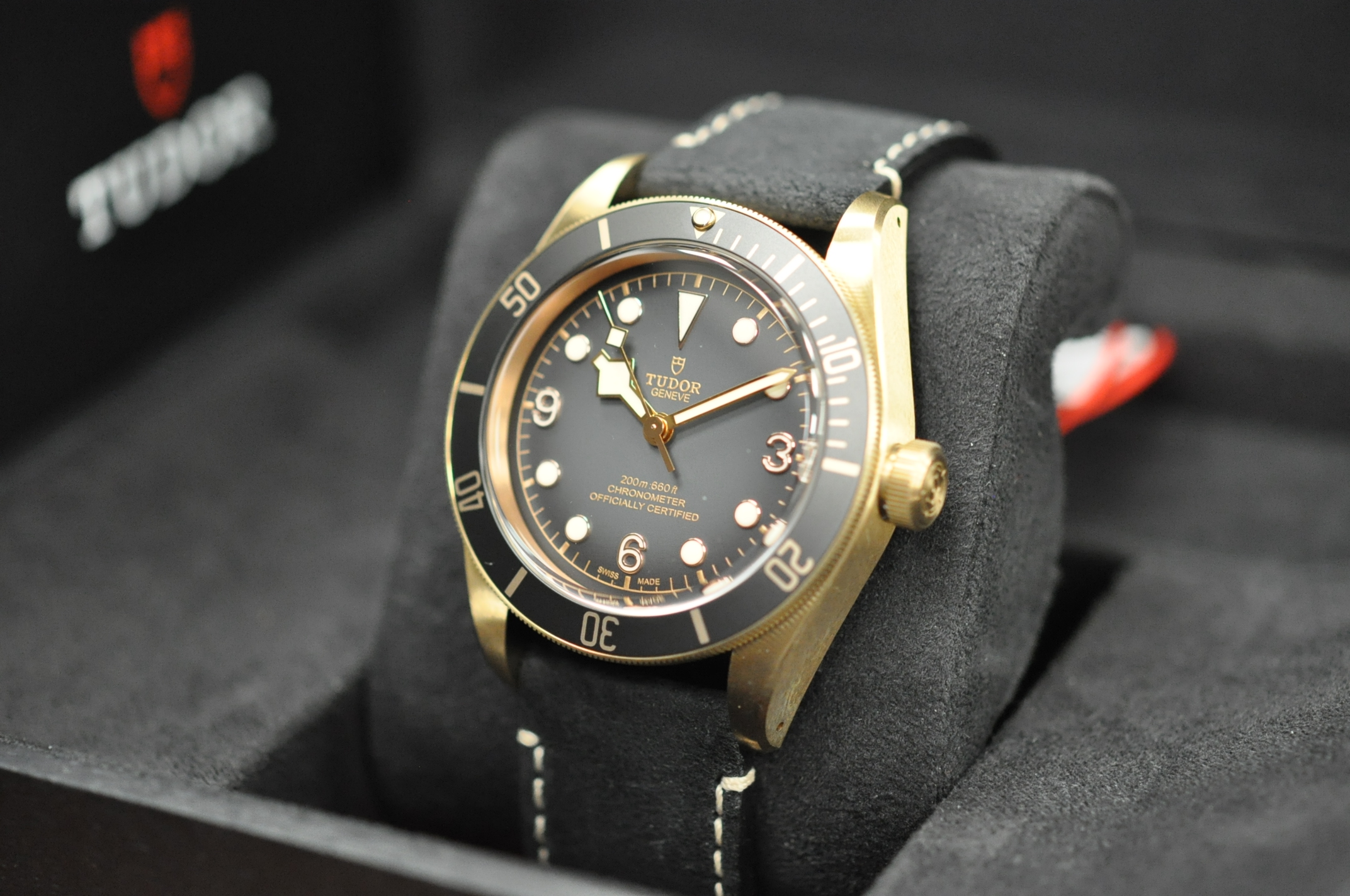 Tudor 2019 Black Bay Bronze 79250BA Hackett Watches