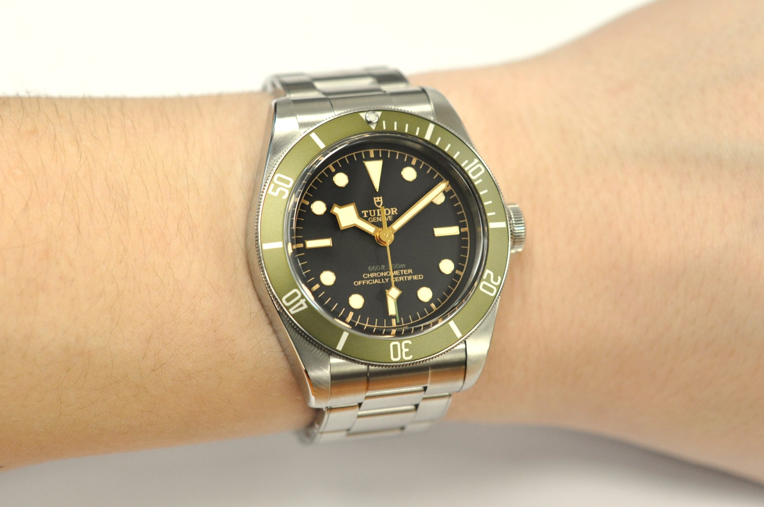 Tudor 2020 Black Bay 